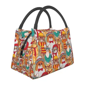 Модная группа Кошек-хипстеров, Термоизолированная сумка для ланча, Женская сумка с мультяшным котенком, сумка для ланча на открытом воздухе, для кемпинга, для путешествий, Коробка для еды