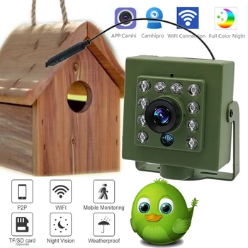 Зеленый Wifi Bird Box Комплект Камеры RTMP Live Audio 1920P 1080P IR CUT Ночного Видения RTSP FTP Mini IP IPC Pet Nest Наблюдение за птицами Camhi