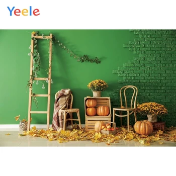 Осенний интерьер комнаты, кирпичная стена сарая, виниловый фон для портрета ребенка, фотографические фоны, фотографический фон для фотостудии