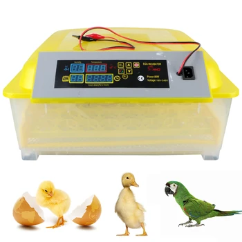 Цифровая Машина Для Инкубации домашней птицы с Вилкой EU Plug Контроль Температуры И Влажности 48 Инкубатор Для Яиц Автоматическая Птица Перепелиный Цыплячий Брудер