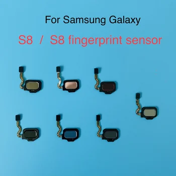 Оригинальный Гибкий кабель Датчика Отпечатков пальцев Для Samsung Galaxy S8 S8 + S8 Plus SM-G950 G955 G950F G955F Touch ID